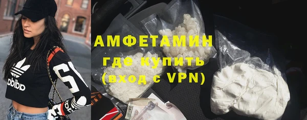 амф Дмитров