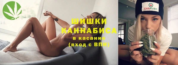 apvp Гусь-Хрустальный