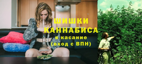 скорость Гусев