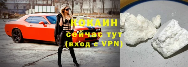 амф Дмитров