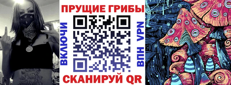 Галлюциногенные грибы ЛСД Северо-Курильск