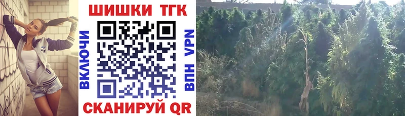 Купить закладки  Северо-Курильск  Бошки марихуана AK-47 